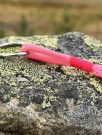 Rosa nøkkelring thumbnail