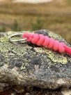 Rosa nøkkelknippe thumbnail