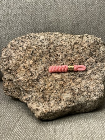 Rosa snake knute